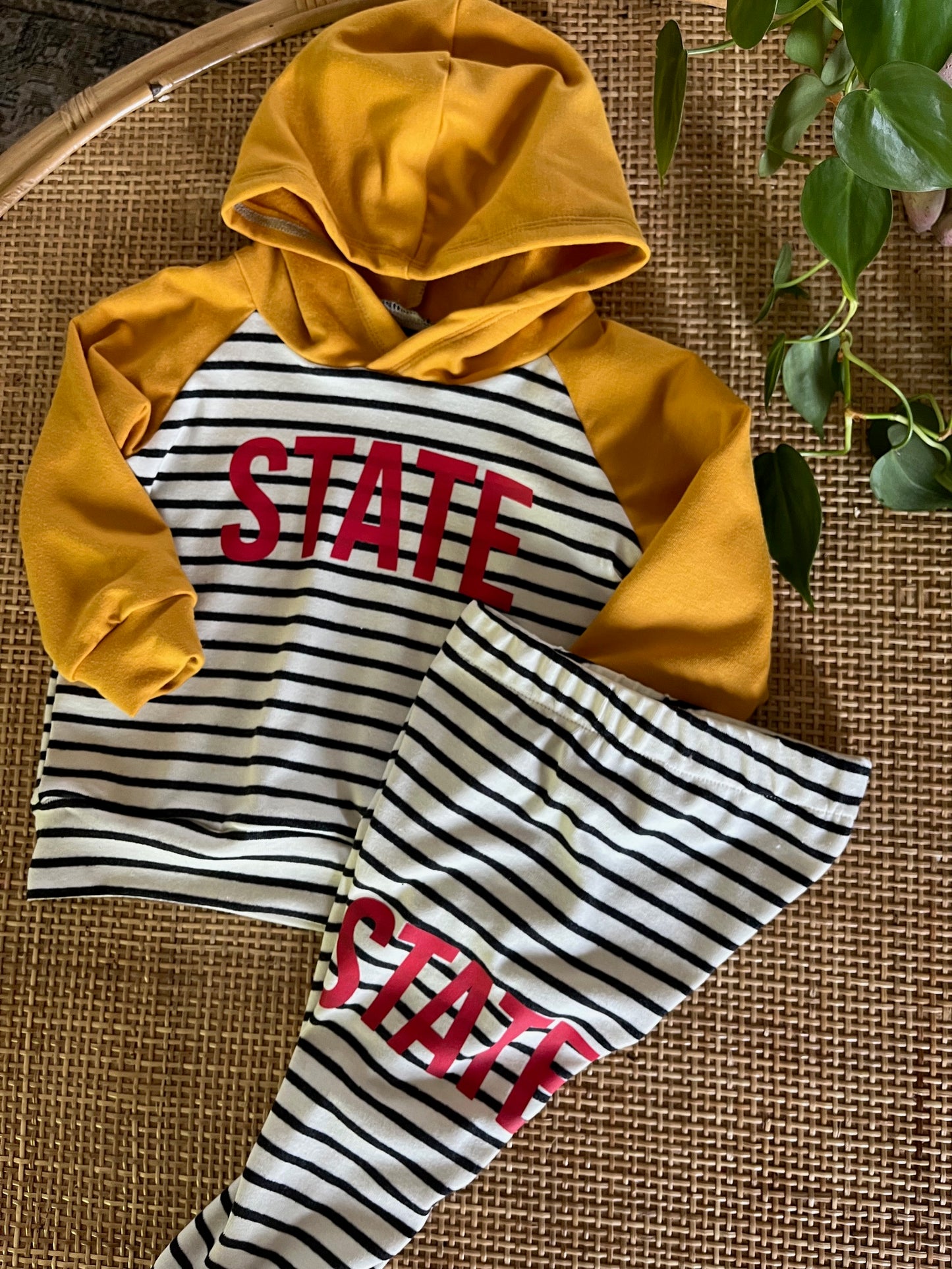 Striped State Hoodie