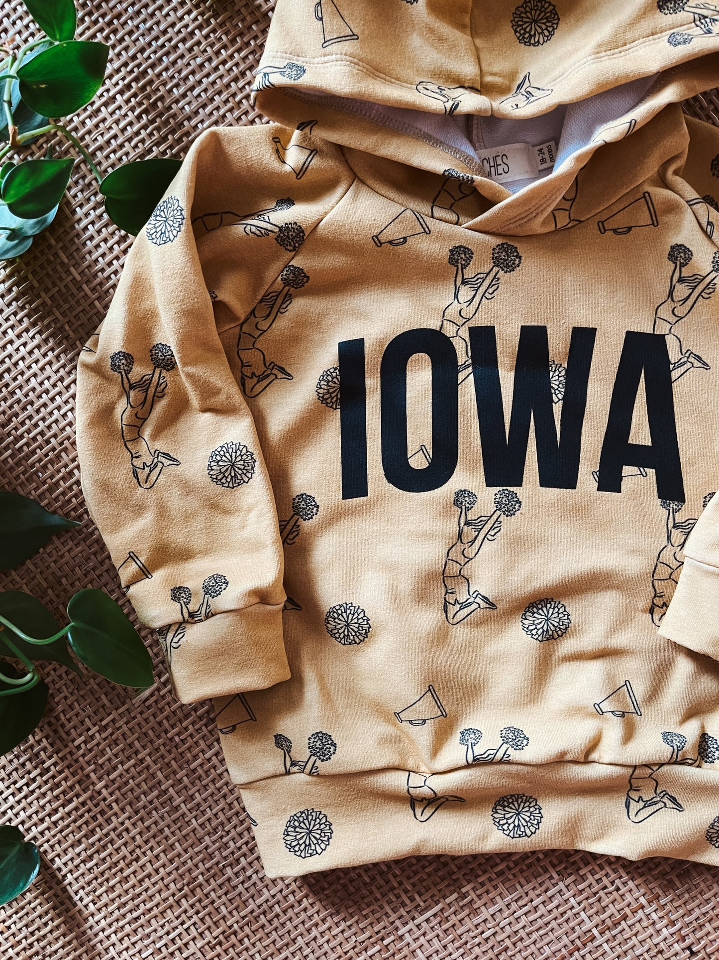 Iowa Cheer Hoodie